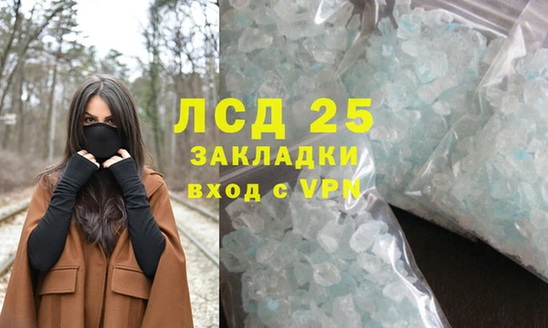 PSILOCYBIN Баксан