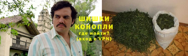 PSILOCYBIN Баксан
