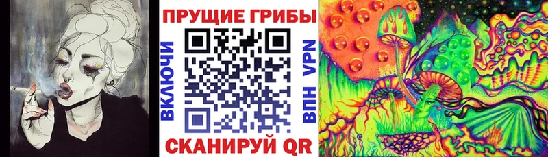 где купить   Барабинск  Псилоцибиновые грибы Psilocybine cubensis 